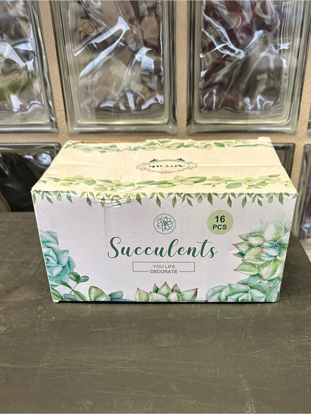 Succulents Decorative Set - Green - 16 Pieces